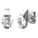 stainless steel earrings