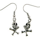 stainless steel earrings