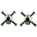 stainless steel earrings