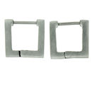 stainless steel earrings ERJ2103