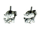 stainless steel earrings
