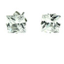 stainless steel earrings