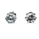 stainless steel earrings