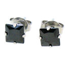 stainless steel earrings