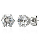 stainless steel earrings
