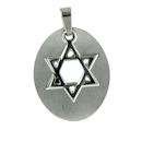 Stainless steel pendant PDJ2041