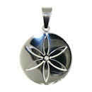 stainless steel pendant PDJ3387