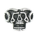 stainless steel ring SRC2047