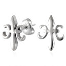 stainless steel earrings